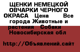 ЩЕНКИ НЕМЕЦКОЙ ОВЧАРКИ ЧЕРНОГО ОКРАСА › Цена ­ 1 - Все города Животные и растения » Собаки   . Новосибирская обл.